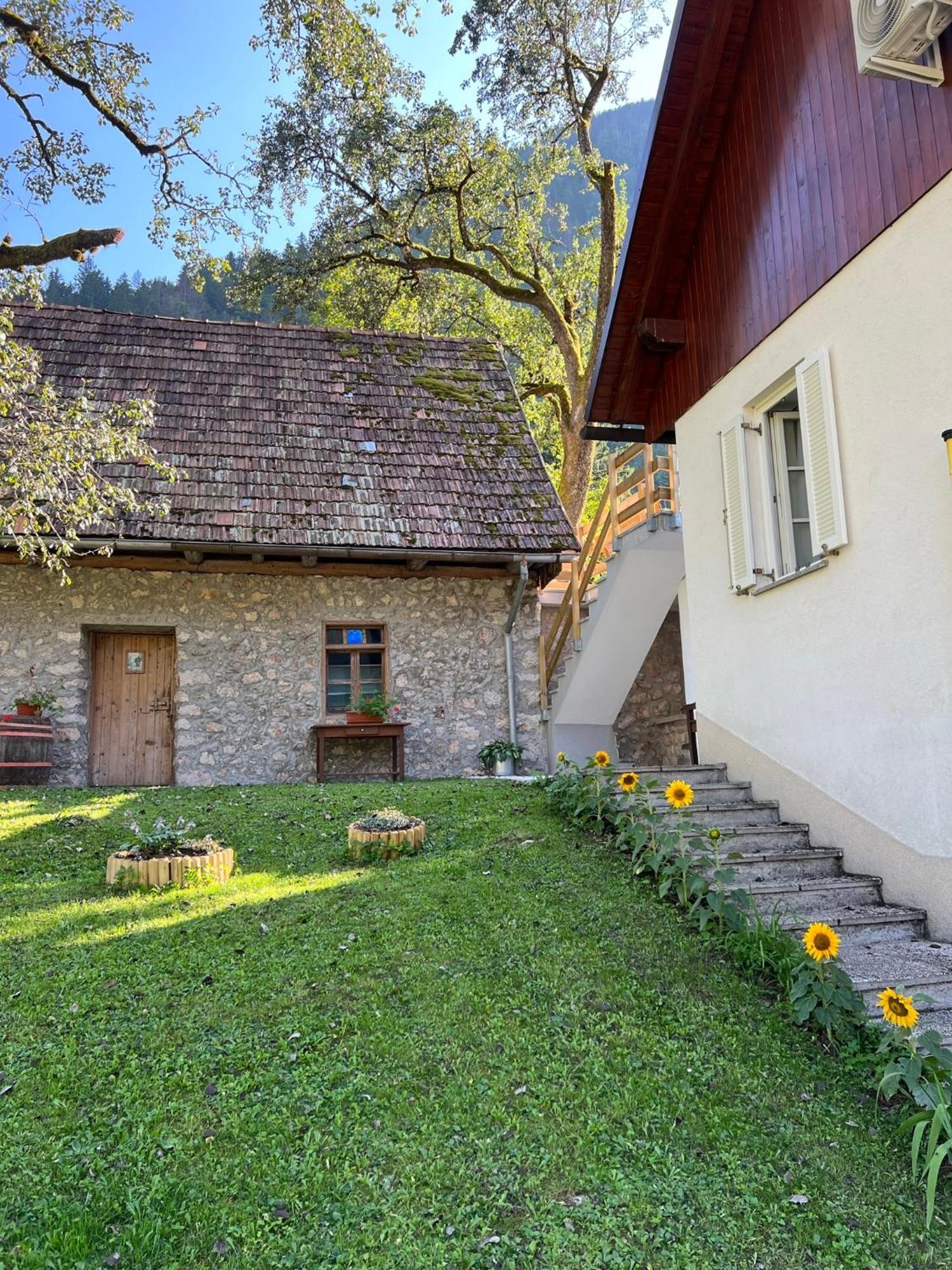 Apartments Mala Korita Soce Соча Экстерьер фото